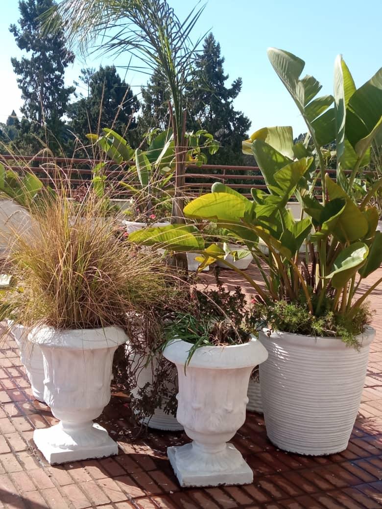 Industrial, Commercial And Residential  Landscaping Setup Installation And Services