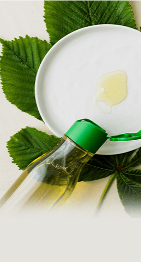 Beauty and Personal Care