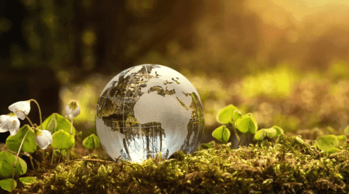 Internal Systems & Digital Solutions