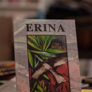 Erina Novel