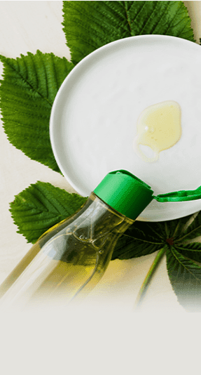 Beauty and Personal Care